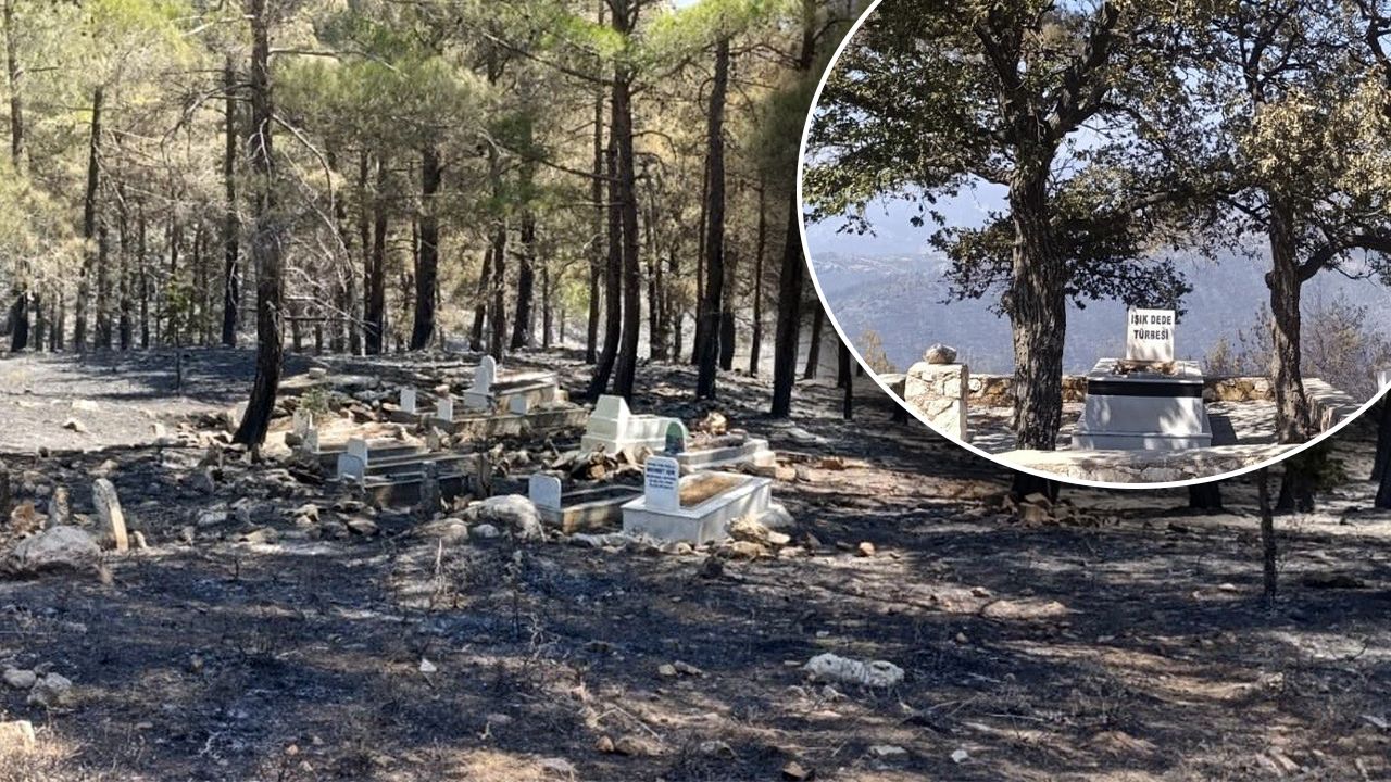Yangın 3 gündür söndürülemiyor! Alevler sadece onun kabrini yutmadı