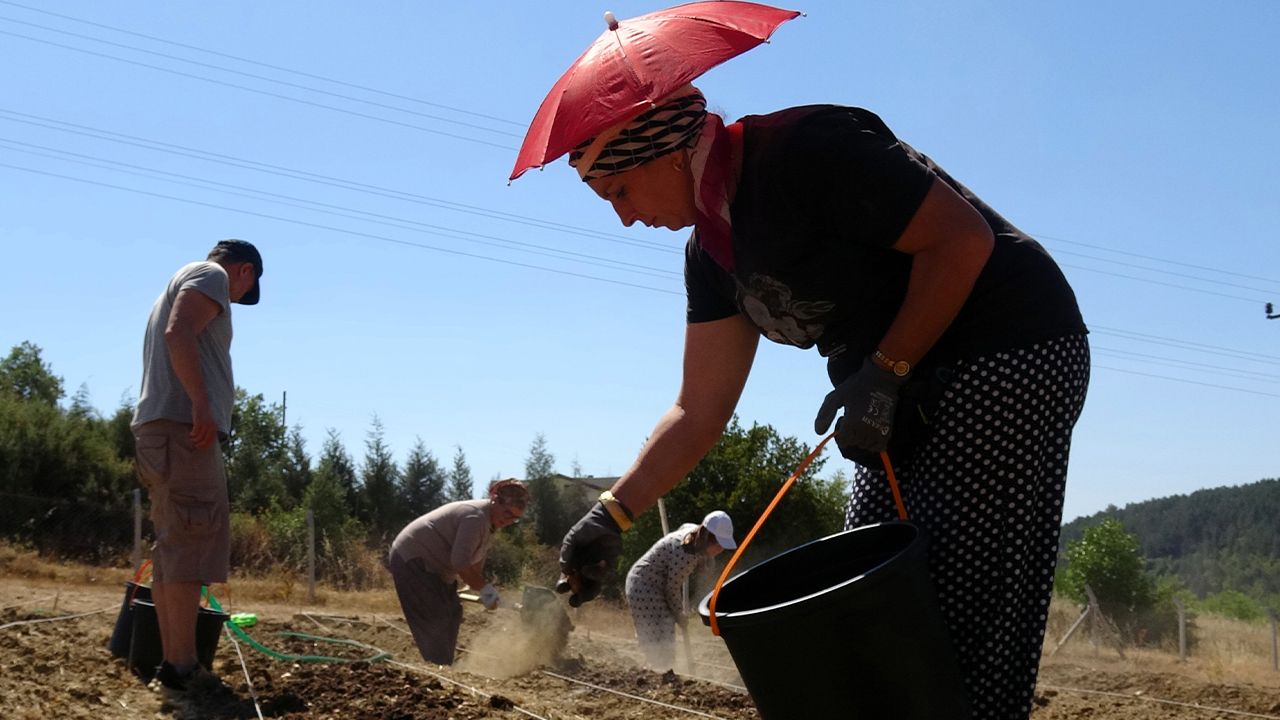 80 bin çiçekten sadece yarım kilo çıkıyor! 