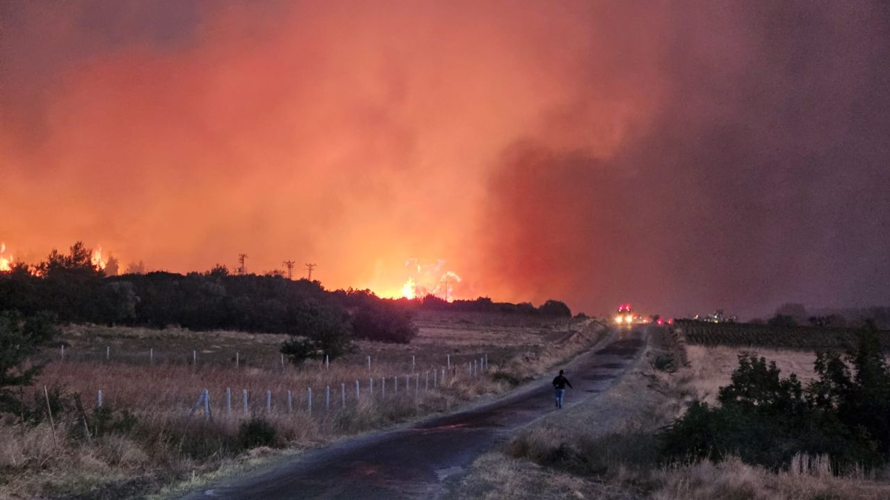 Çanakkale Gelibolu orman yangını son durum ne?