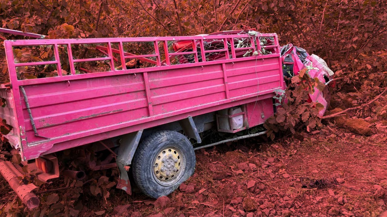Giresun'da katliam gibi kaza! Fındık bahçesine devrilen kamyonette 4 kişi can verdi