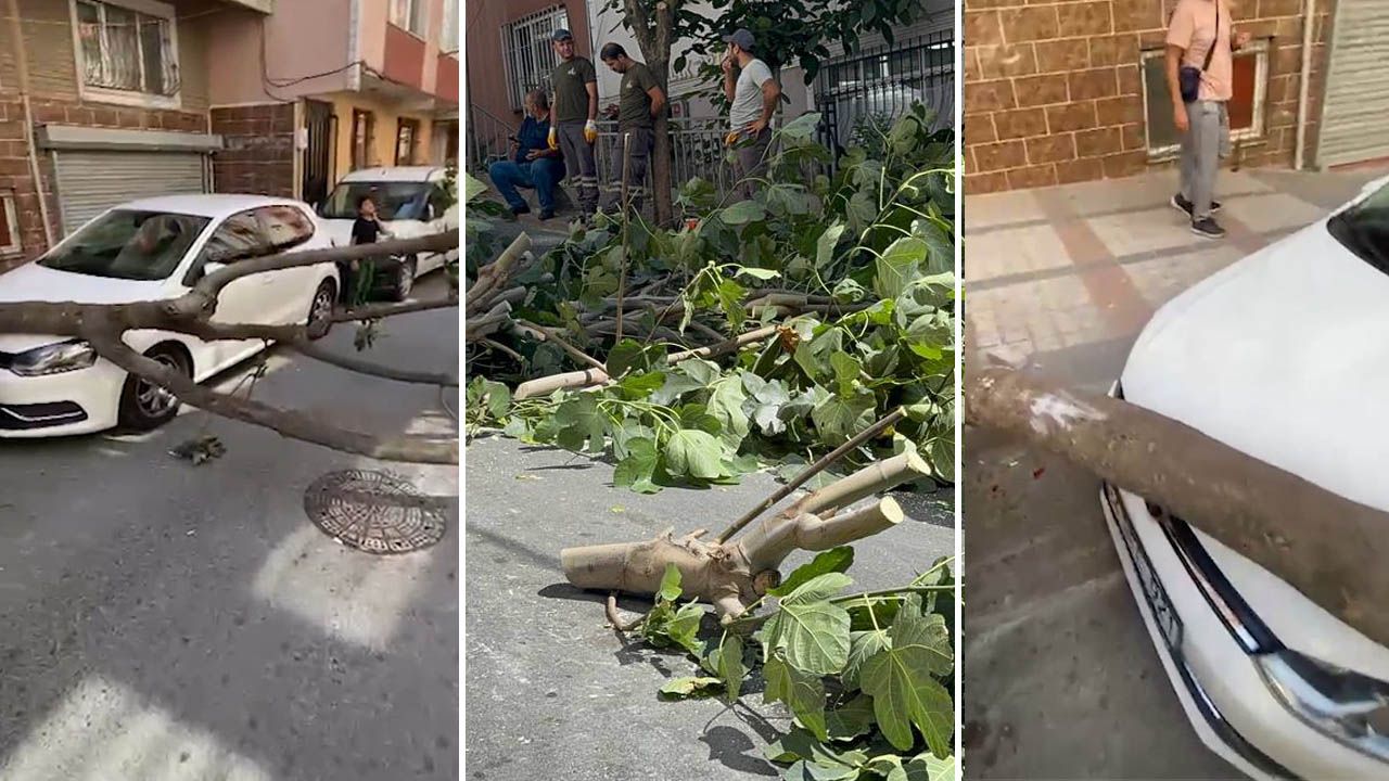 İstanbul'da fırtına! Ağaçlar devrildi, 2 kişi yaralandı