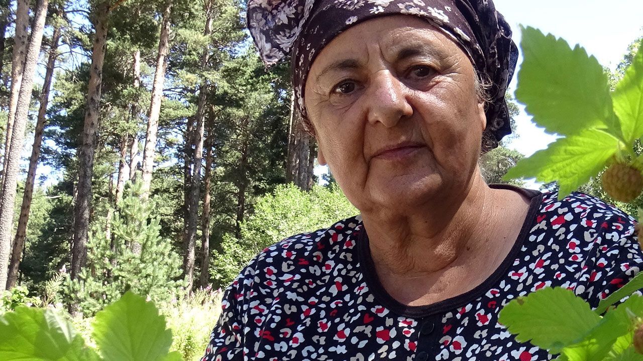 Hasat başladı! Ne gübre ne sulama… Vatandaş tek kuruş masraf etmeden topluyor