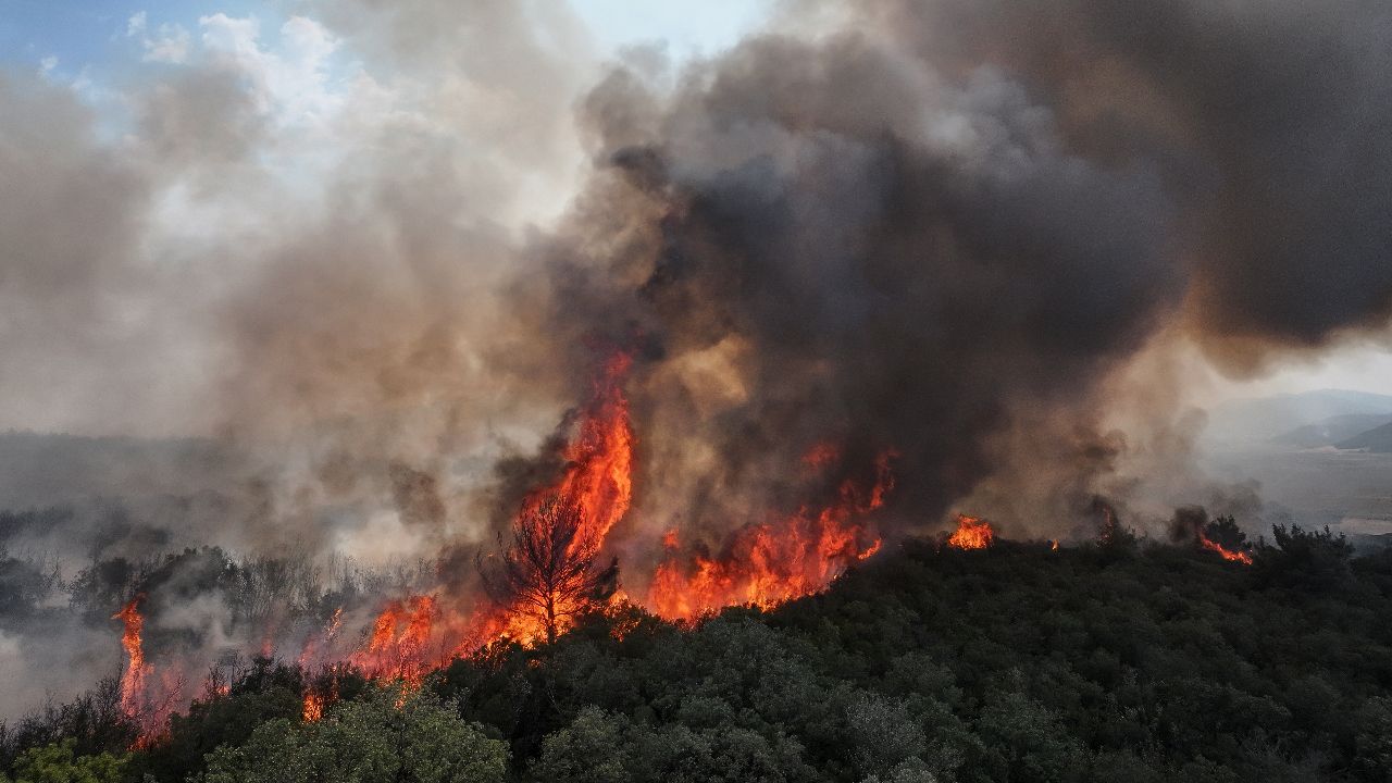 Orman yangınları son durum: Nerede yangın var, yangınlar söndü mü?