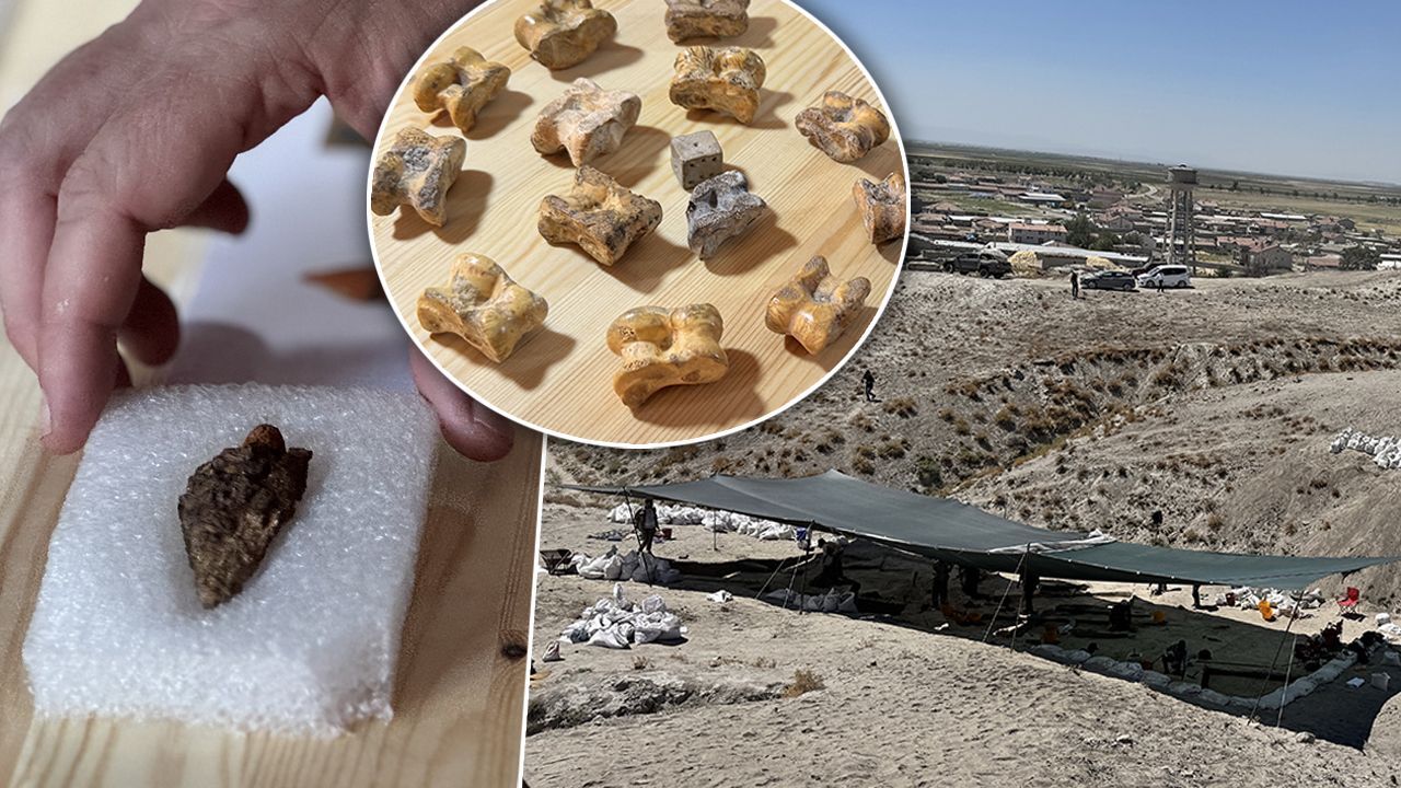 Binlerce yıllık tarih aydınlanıyor! Türkmen Karahöyük'te bulunanlar yabancı arkeologları şaşkına çevirdi