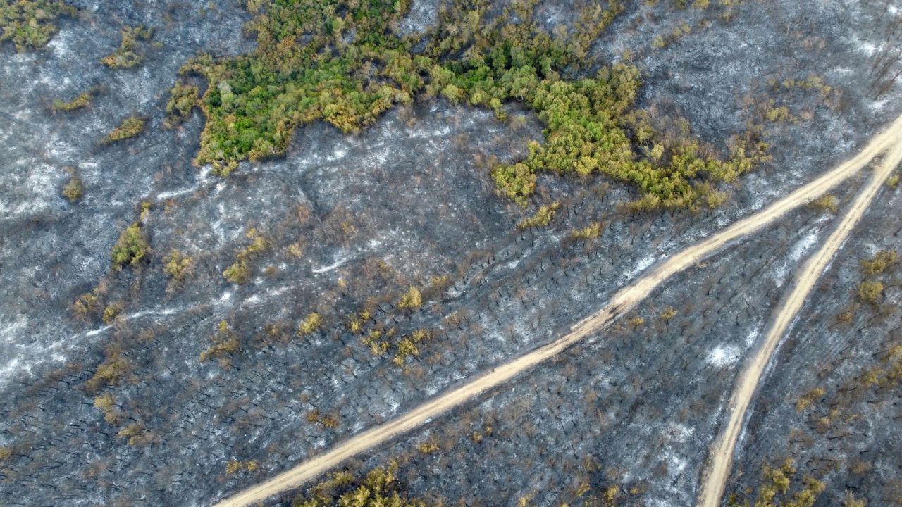Ciğerlerimiz böyle yandı! Gelibolu yangınında hasar ortaya çıktı, bir detay şoke etti