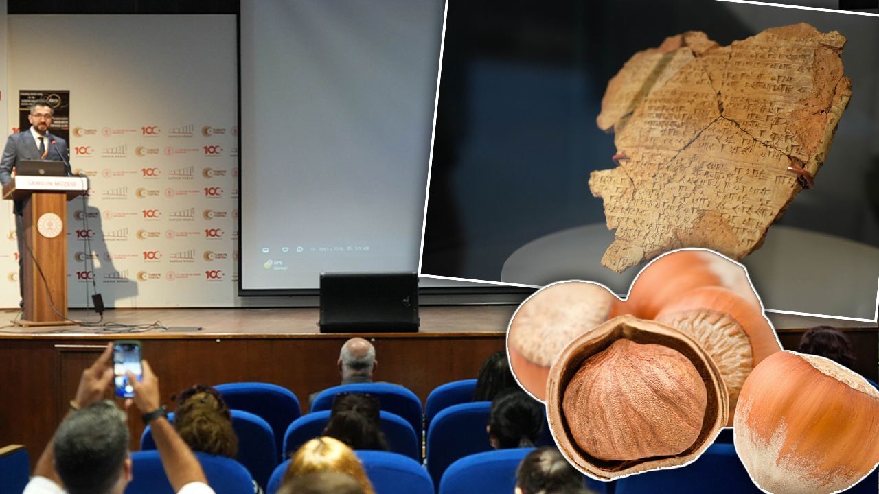 En eski fındık burada bulundu! Bu Hitit keşifleri dünyada sayılı... Alman profesör tek tek anlattı