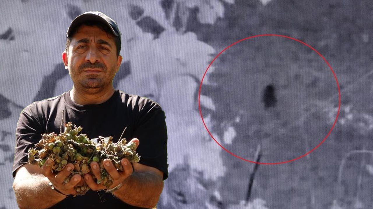 Fındıkları çalındı sandı! Gerçek bambaşka çıktı: Seneye daha fazla önlem alacağız