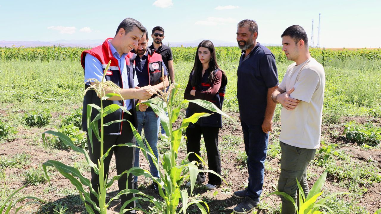 Sebze, meyve, tahıl... Bu bostan diğerlerinden daha farklı! Vatandaş daha ucuza satın alacak