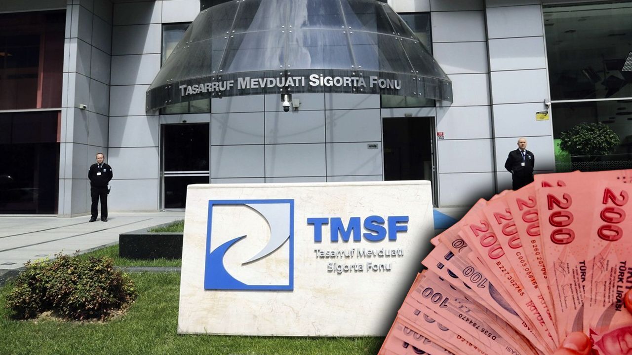 4.6 milyar liradan ihaleye çıkacak! TMSF bir şirketi daha satışa çıkardı