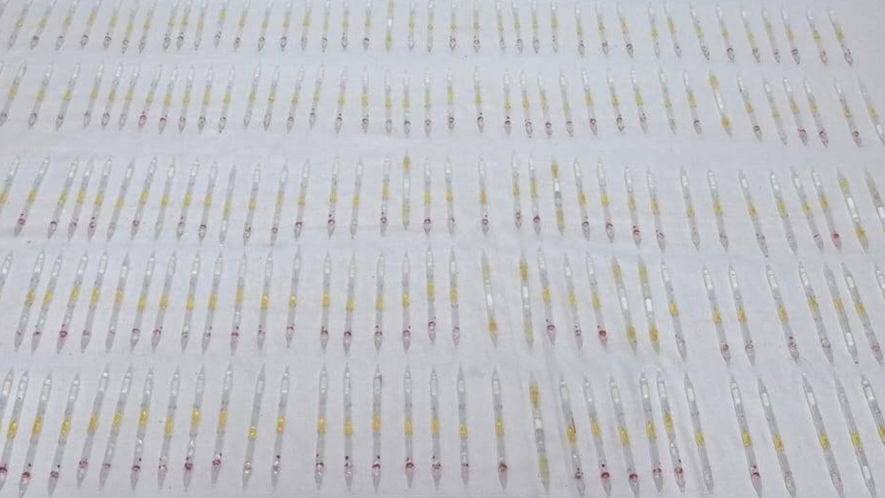 Burdur'da sıra dışı operasyon: 201 tüp kobra yılanı zehri ele geçirildi! Piyasa değeri dudak uçuklatıyor