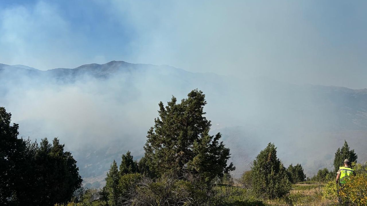 Gümüşhane'de çobanın yaktığı ateş ormanı kül etti! Ekipler 7 saatte söndürebildi