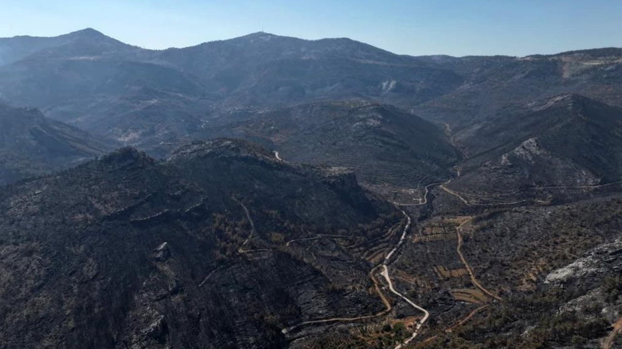 Kahreden görüntü! 15 bin dönüm alan griye döndü