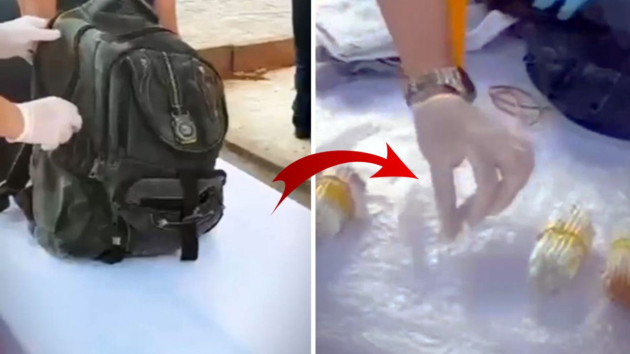 Piyasa değeri 60 milyon lira! Sırt çantasına gizlenmişti, yakayı ele verdiler