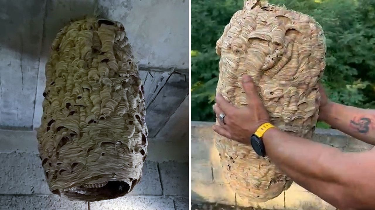 Uzun süredir kullanılmıyordu! İçeri giren mahalle sakinleri tavana asılı halde buldu