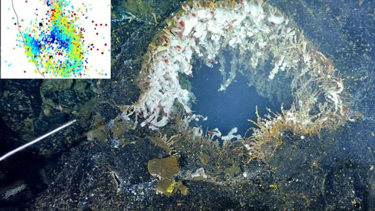 ABD’de bir günde 2.000’den fazla deprem! Sualtındaki patlamaya hazır volkan uyandı