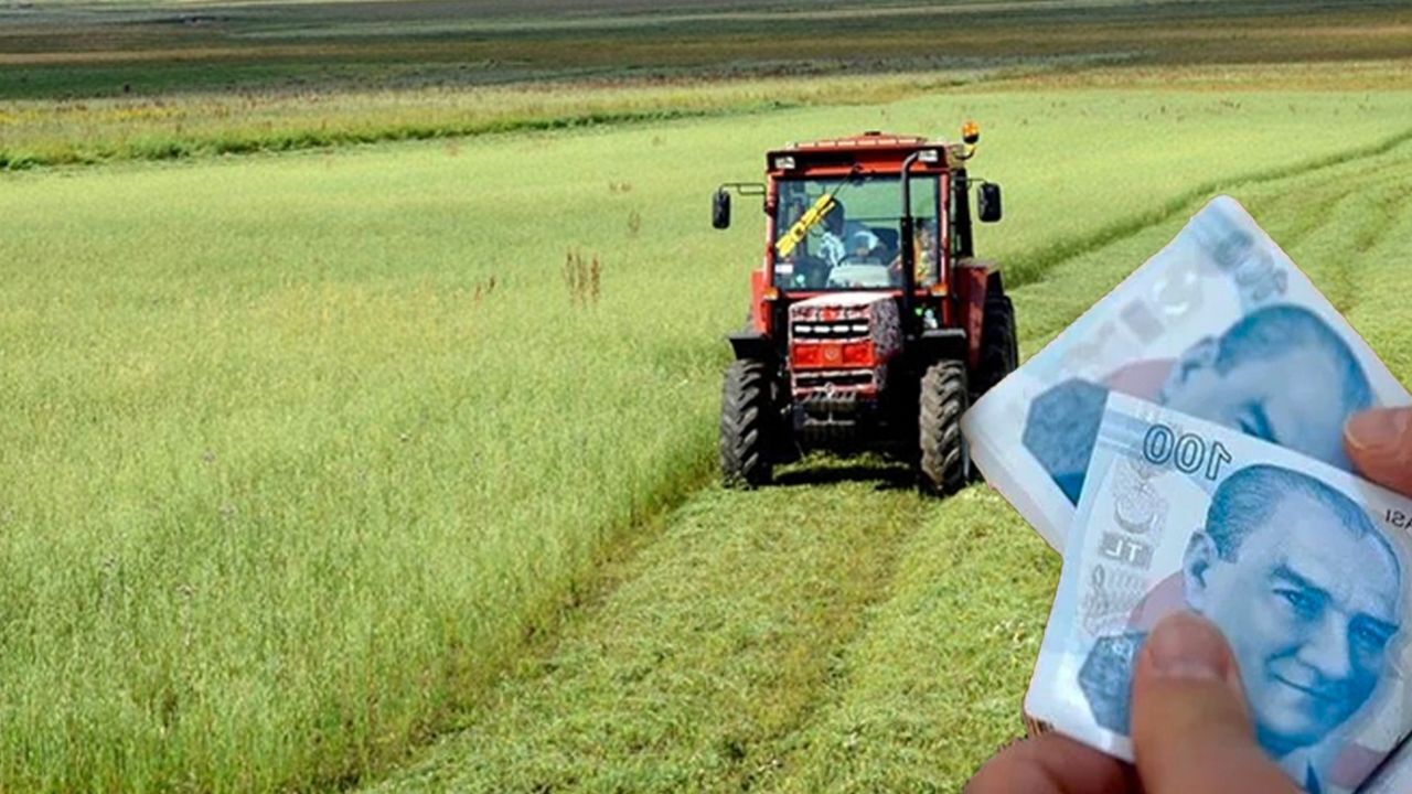 e-Devlet çiftçi destek ödemesi sorgulama ekranı! Tarımsal destek ödemeleri yattı mı?