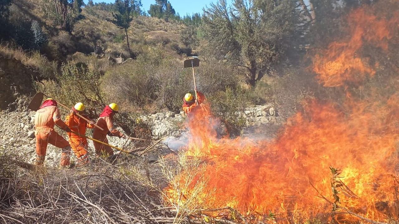 Bolivya'da 3 büyük orman yangını! 