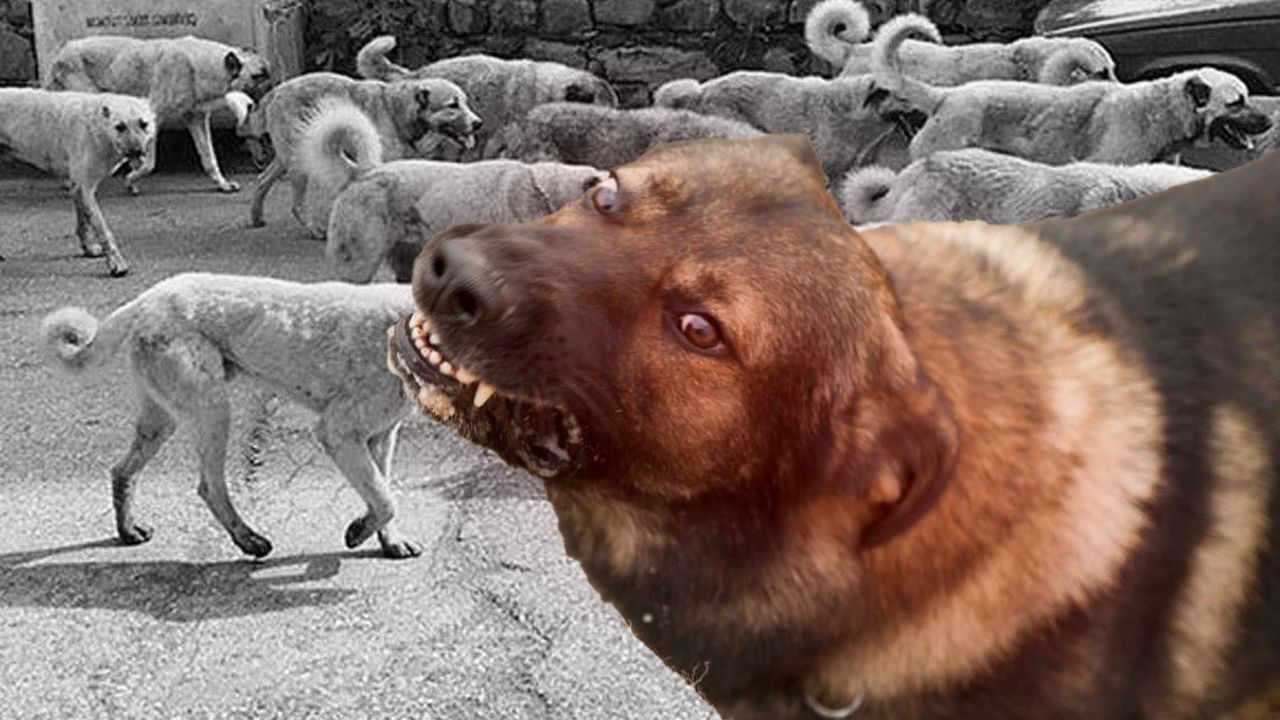 İlk ders zili çalmadan İstanbul Valiliği