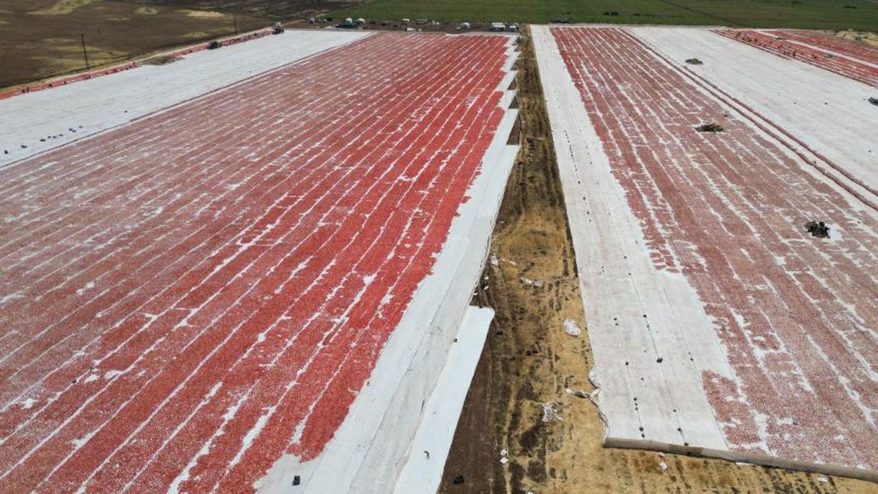 “Siverek’in altını”na dünya talip! Birçok ülkeye ihraç ediliyor, almak için sıraya giriyorlar