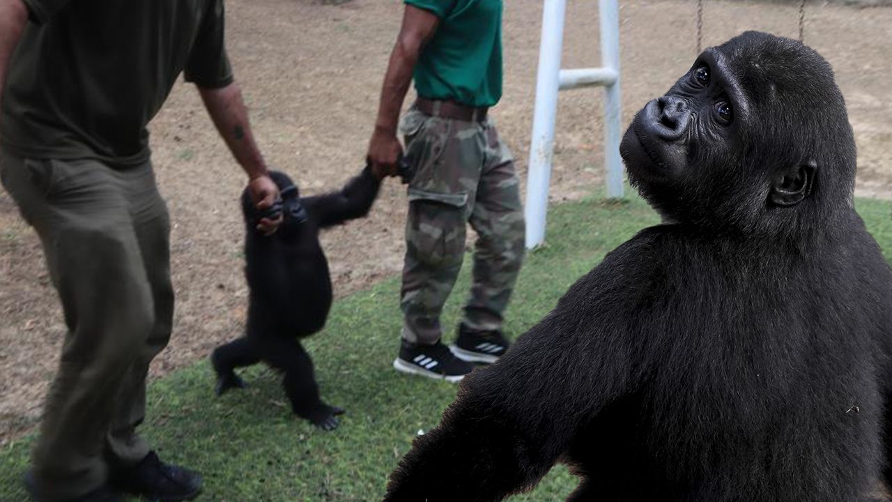 Tüm Türkiye ona isim aramıştı! Ve sürecin sonuna gelindi... 8 ay sonra evine dönüyor