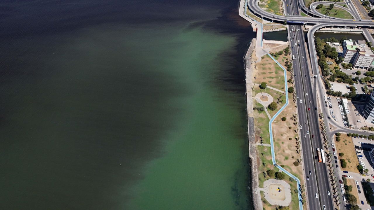 İzmir sahilinde korkutan manzara! Deniz kahverengiye döndü, ölü balıklar kıyıya vurdu