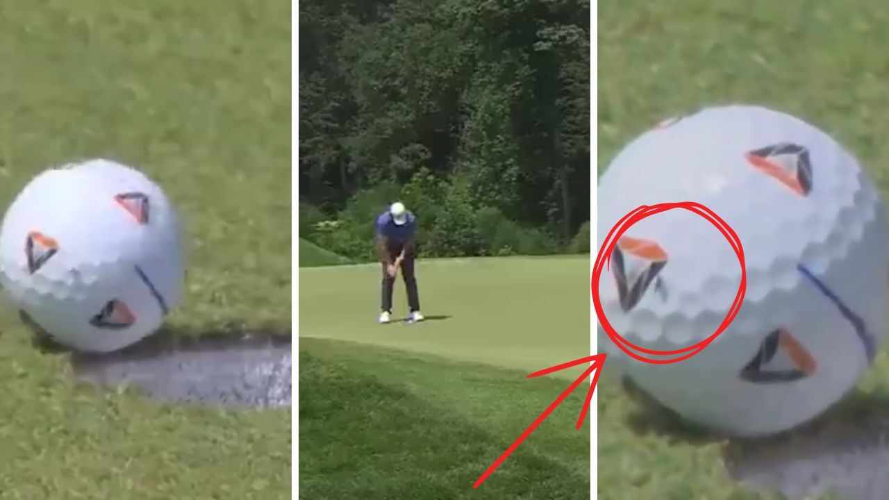 Kimse beklemiyordu! Sinek dokundu, milyonların sahibi oldu