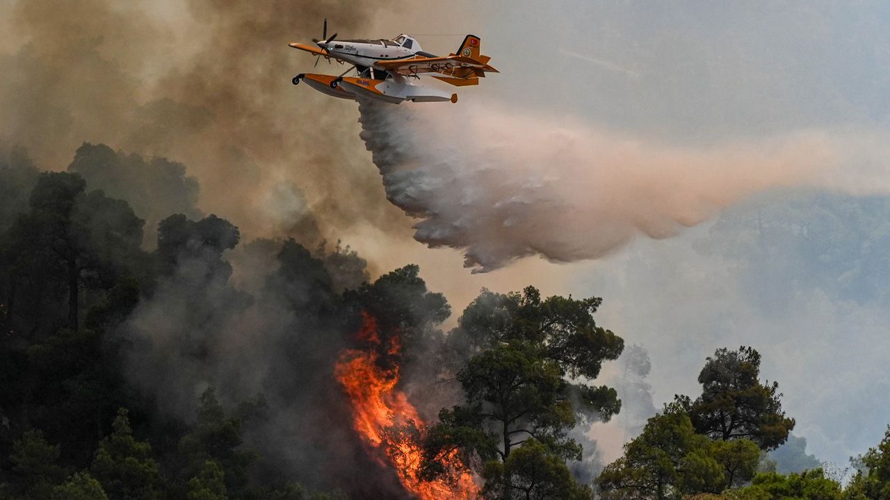 Yanan ciğerlerimiz için harekete geçildi! Ormanlarımız için büyük servet harcandı