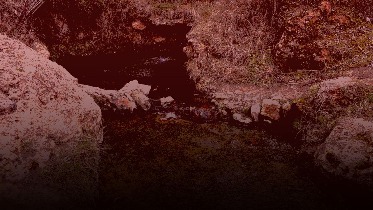 Şifa arayışı faciayla bitti! Yaşlı çift zehirlenerek hayatını kaybetti