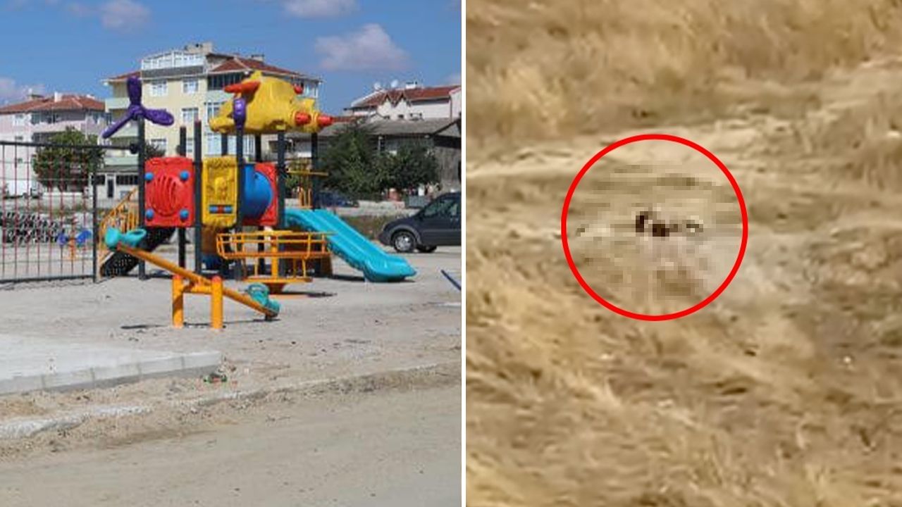 Güpegündüz fuhuş skandalı! Çocuk parkının yanında iğrenç görüntüler, vatandaşlar isyan etti