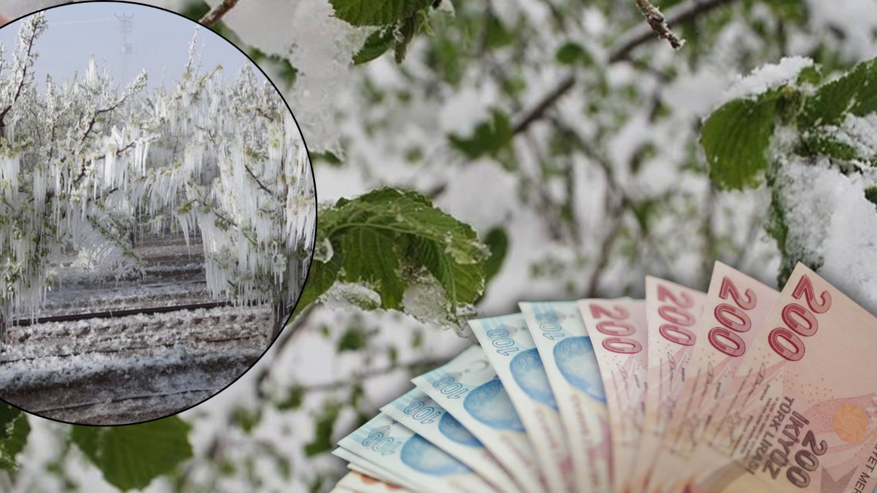 Zirai don üreticiyi perişan etmişti, müjdeli haber geldi! 420 bin kişiye 23,4 milyar TL destek ödemesi geliyor