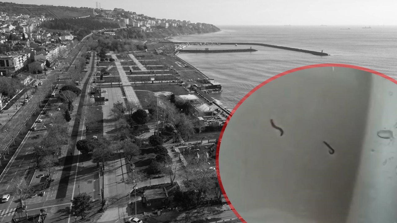 Tekirdağlılar neye uğradığını şaşırdı: İçme suyu şebekesinden kurtlar çıkıyor