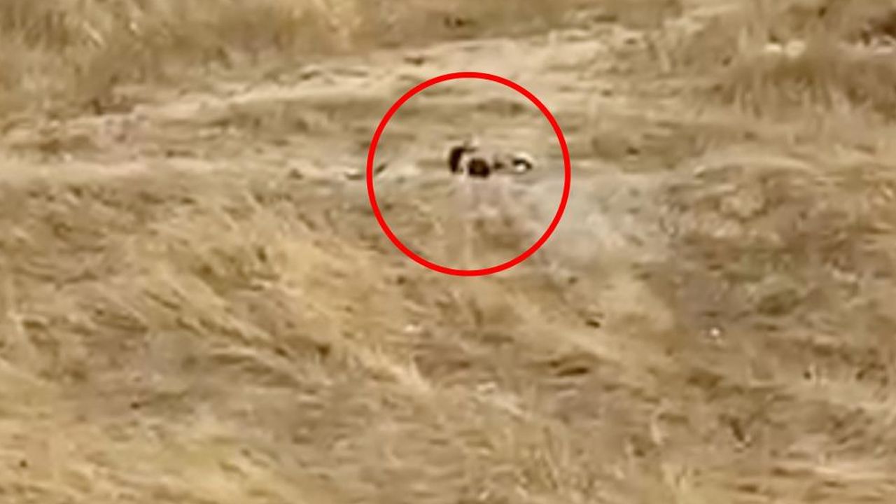 Boş arazide uygunsuz hareketler sergilemişlerdi! 2 genç gözaltına alındı