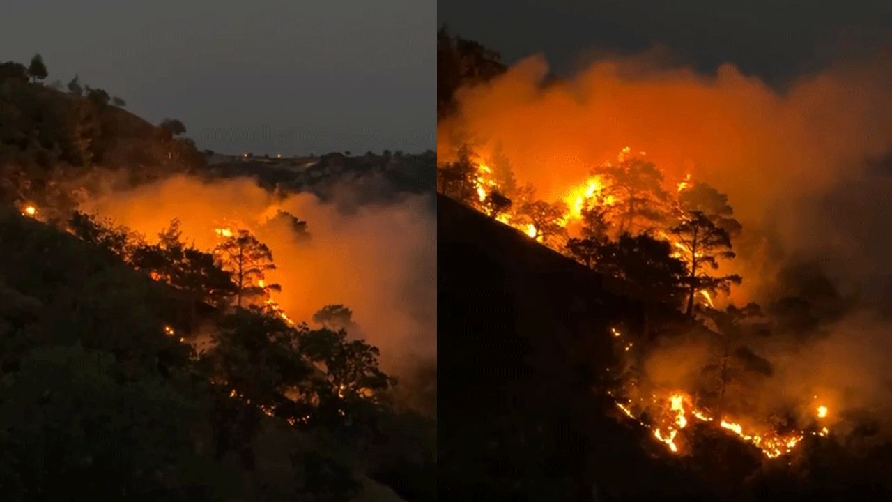 Denizli'de sarp arazide orman yangını çıktı