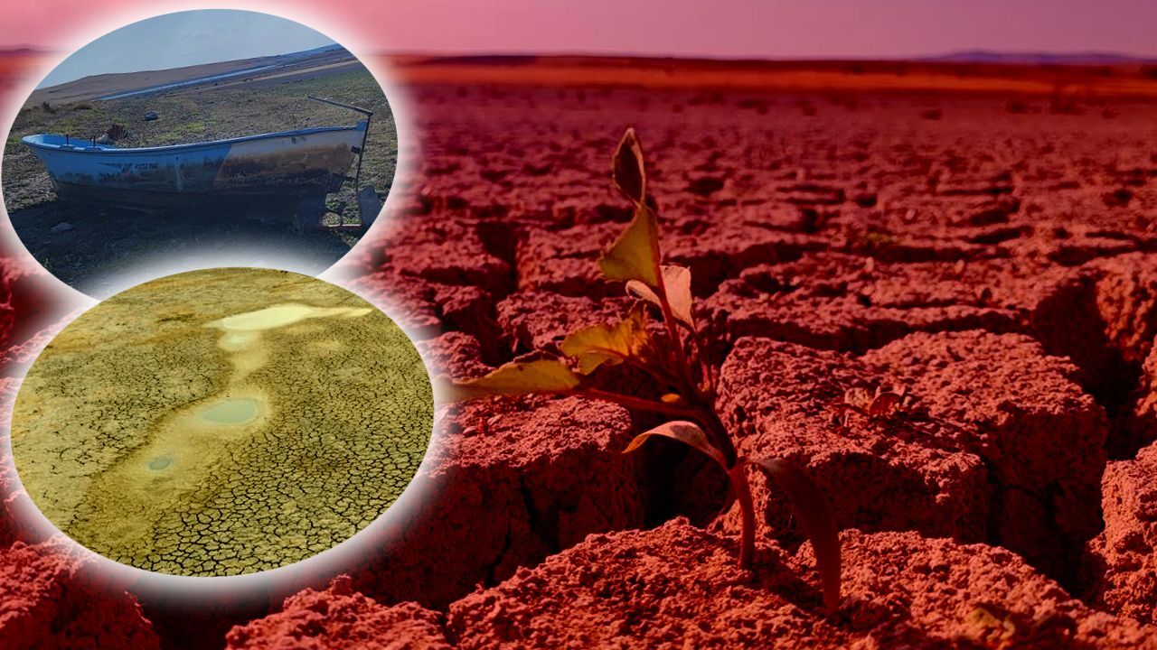 Baraj kurudu, toprak çatladı! Bir kentimizde kuraklık alarmı