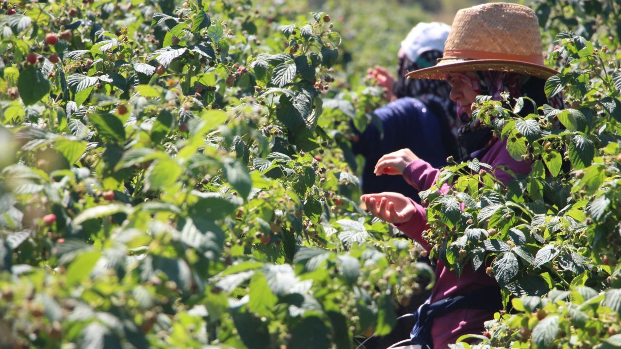 Gelenekseli bir kenara bıraktı, yapılmayanı yaptı! Kısa sürede kendi işinin patronu oldu