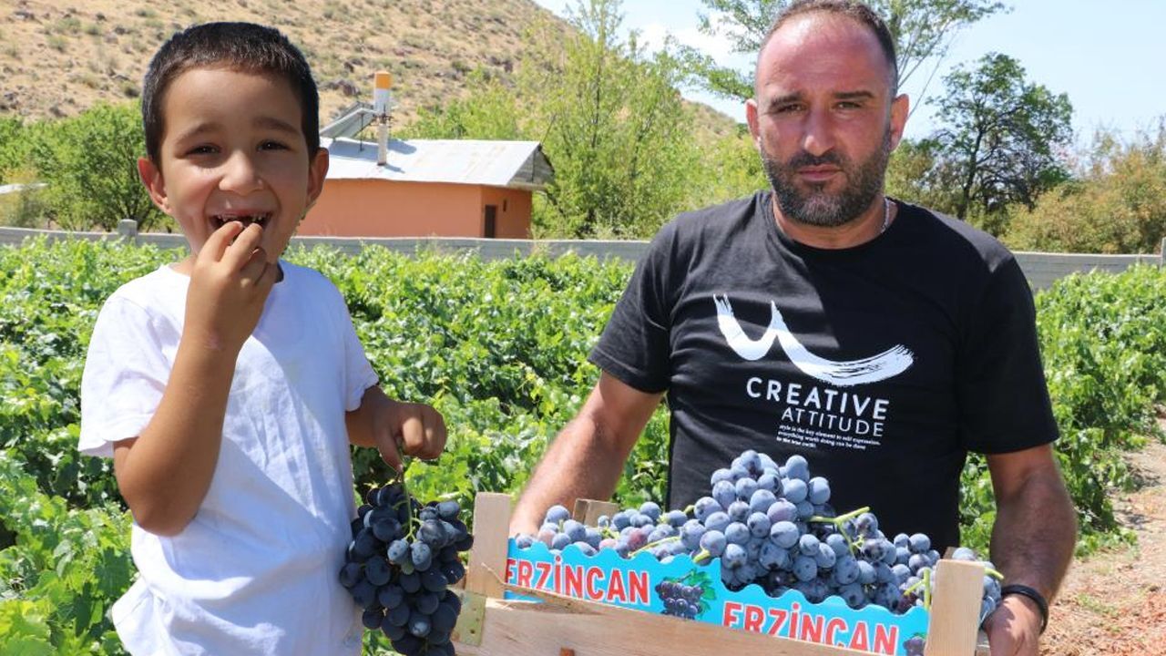 Tarlada 110, markette 200 lira! Fiyatı üreticinin yüzünü güldürdü