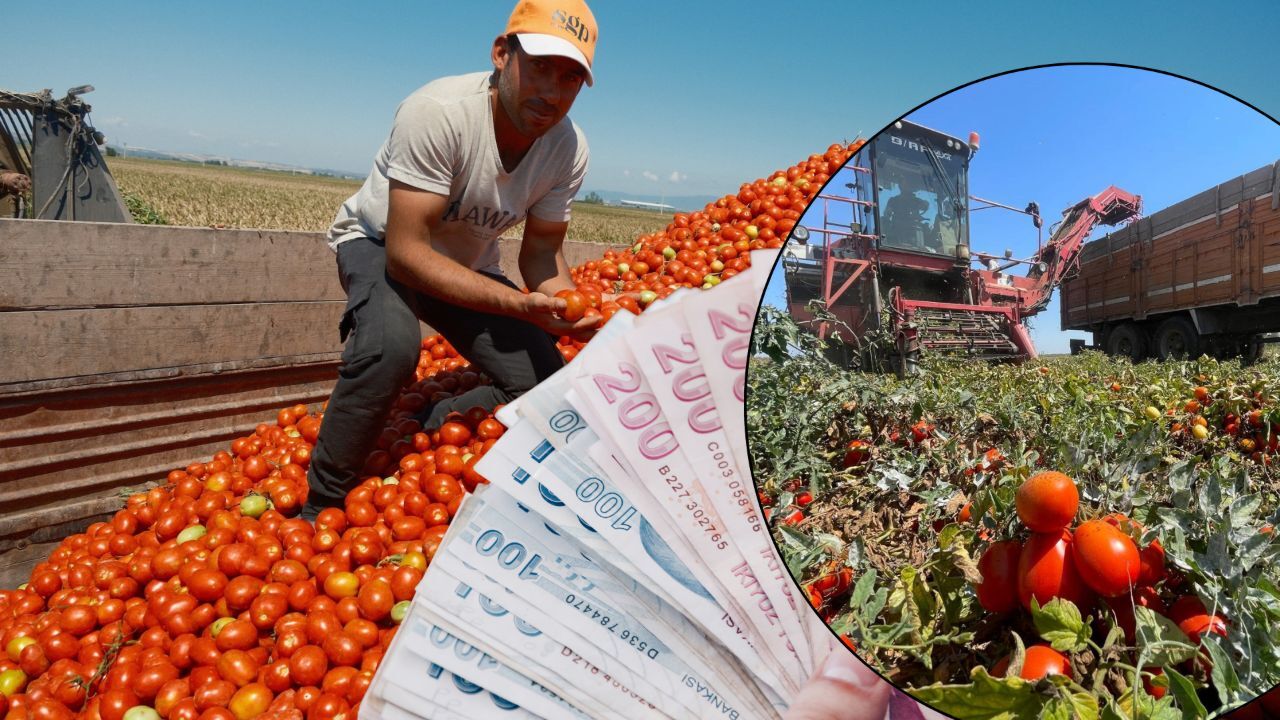 Girdiler artıyor, ürün fiyatları yeterli değil: Karacabey çiftçisi endişeli