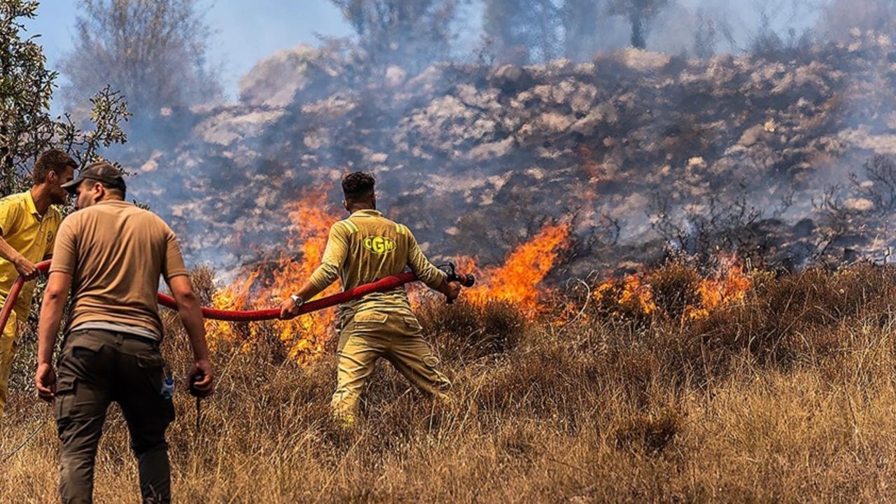 Ankara yangın son dakika: Ankara'da orman yangını mı çıktı?