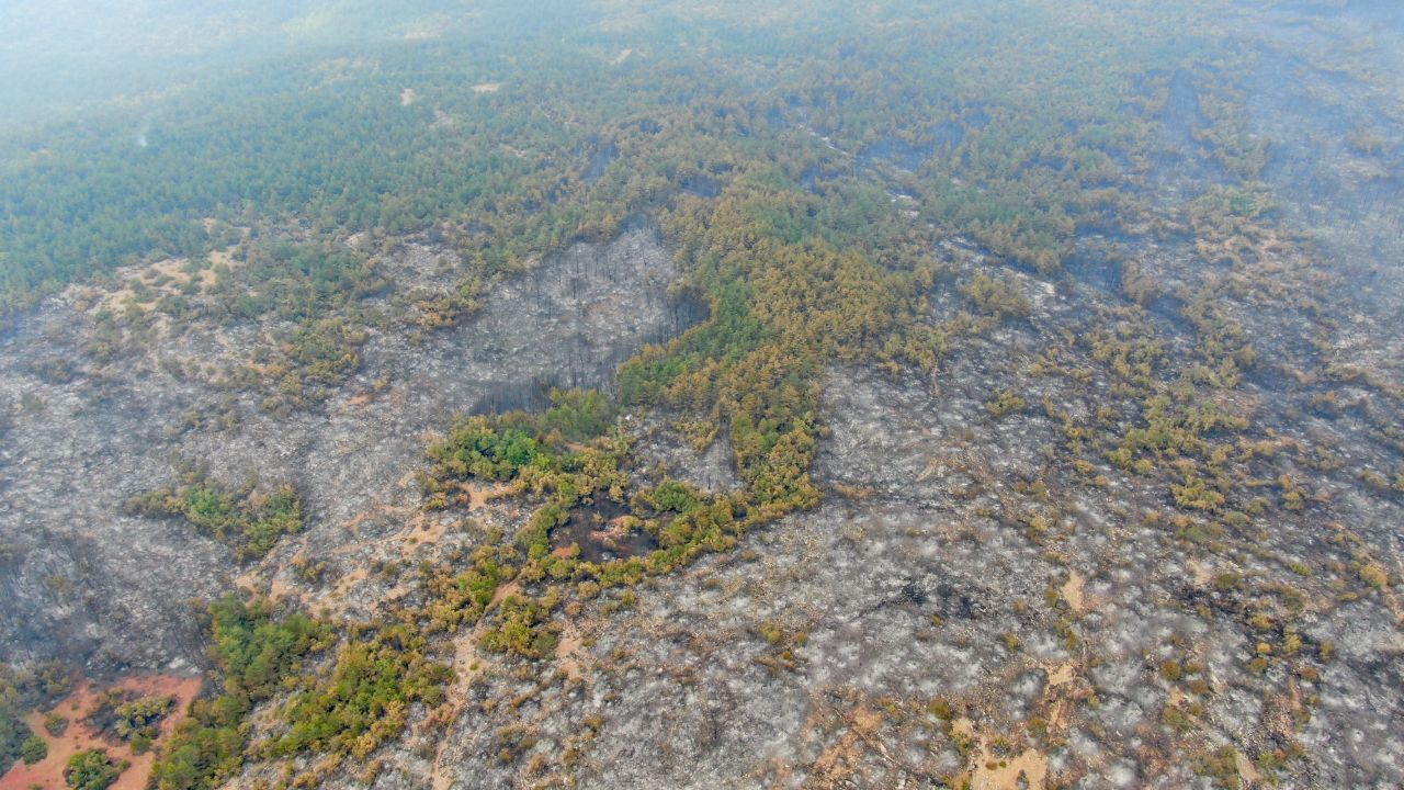 Kastamonu cayır cayır yandı! Alevlerden geriye acı manzara kaldı