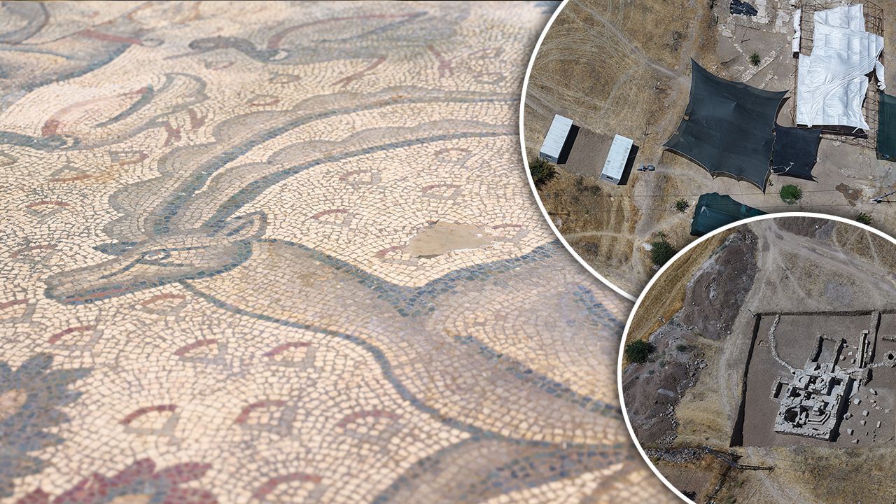 Ağaç dikerken Roma burjuvasını buldu! Halı gibi dokunan mozaikte ilginç detaylar ortaya çıktı