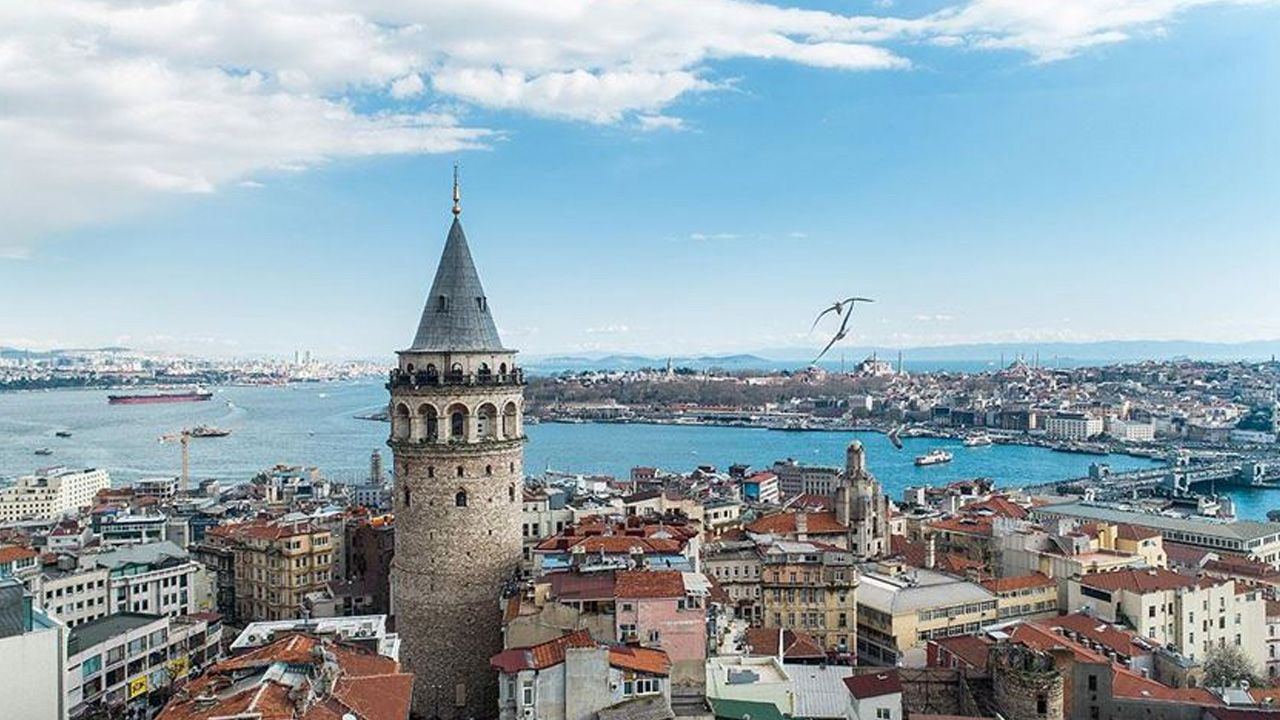 İstanbul Bienali başlıyor! Sekiz mekânda ‘Üç Ayaklı Kedi’ dolaşacak! görseli