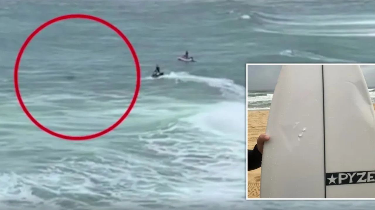 Avustralya’da korkunç anlar: Köpekbalığı sörfçüyü saniyeler içinde parçaladı