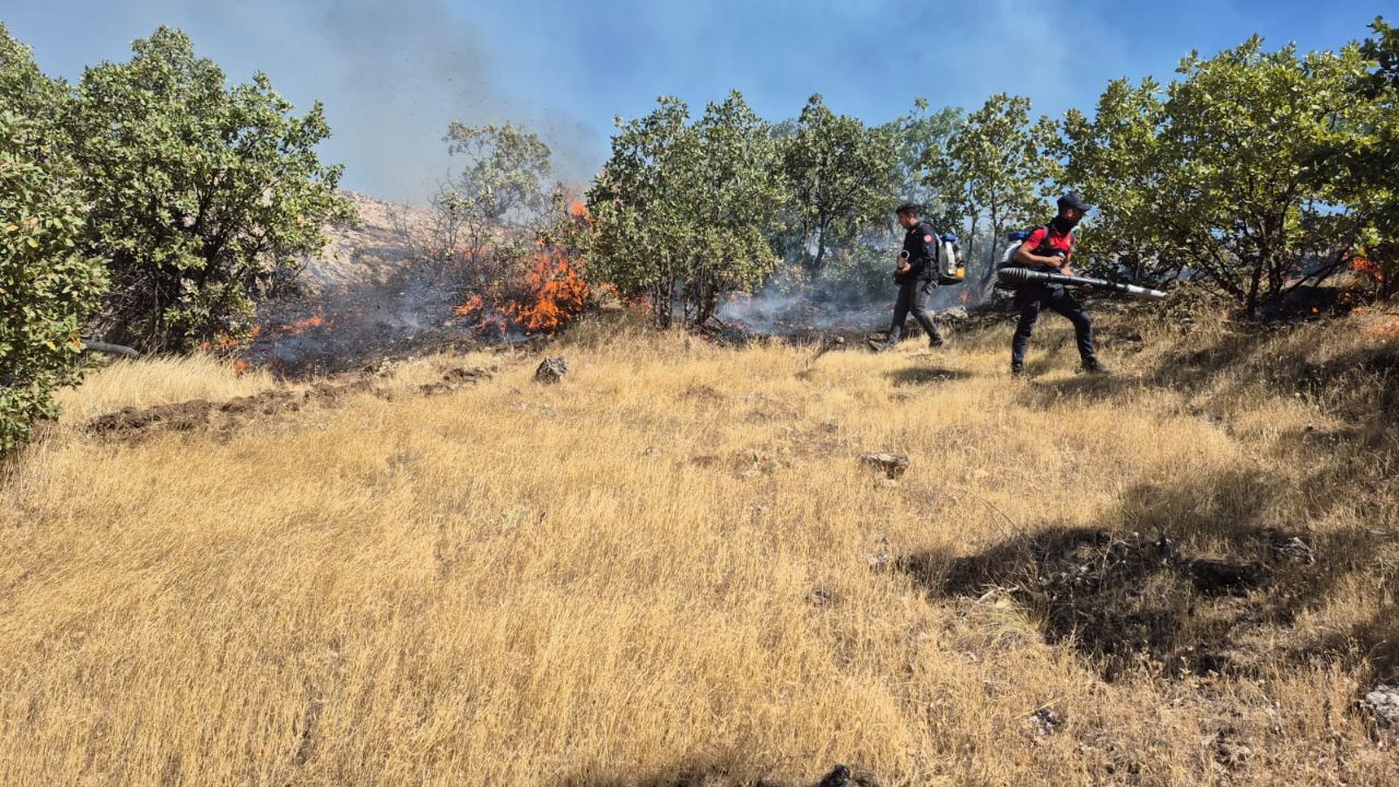 Mardin'de ormanlık alanda yangın! Alevler kısa sürede yayıldı