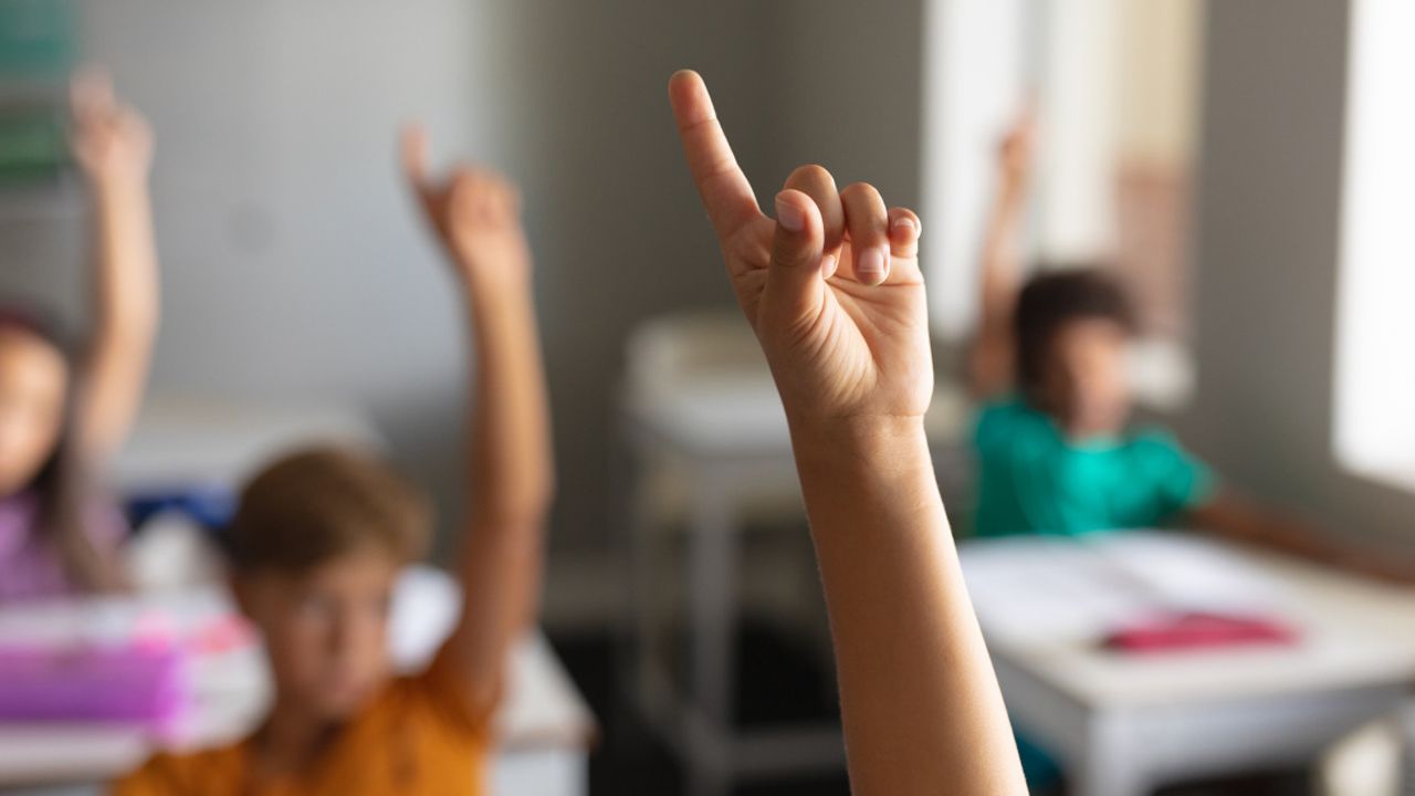 İstanbul Valiliği duyurdu! Okulların çevresinde kuş uçurtulmayacak görseli