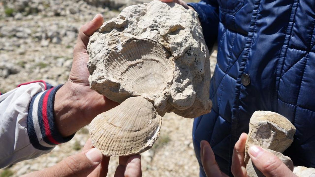 2 bin 587 rakımlı dağın zirvesinde heyecanlandıran keşif! "İnanılmaz bir tarihle karşı karşıya kaldık"
