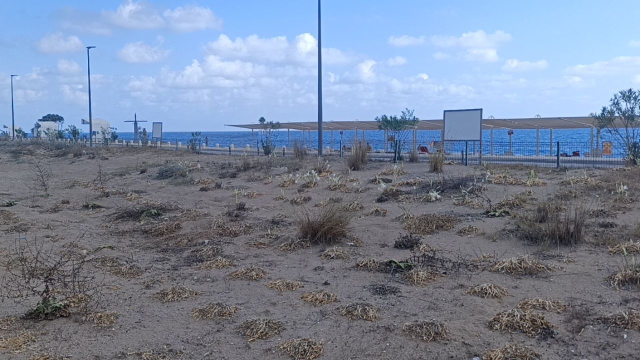 Nesli tükenmek üzere! Zarar verene büyük ceza var, dudak uçuklatıyor