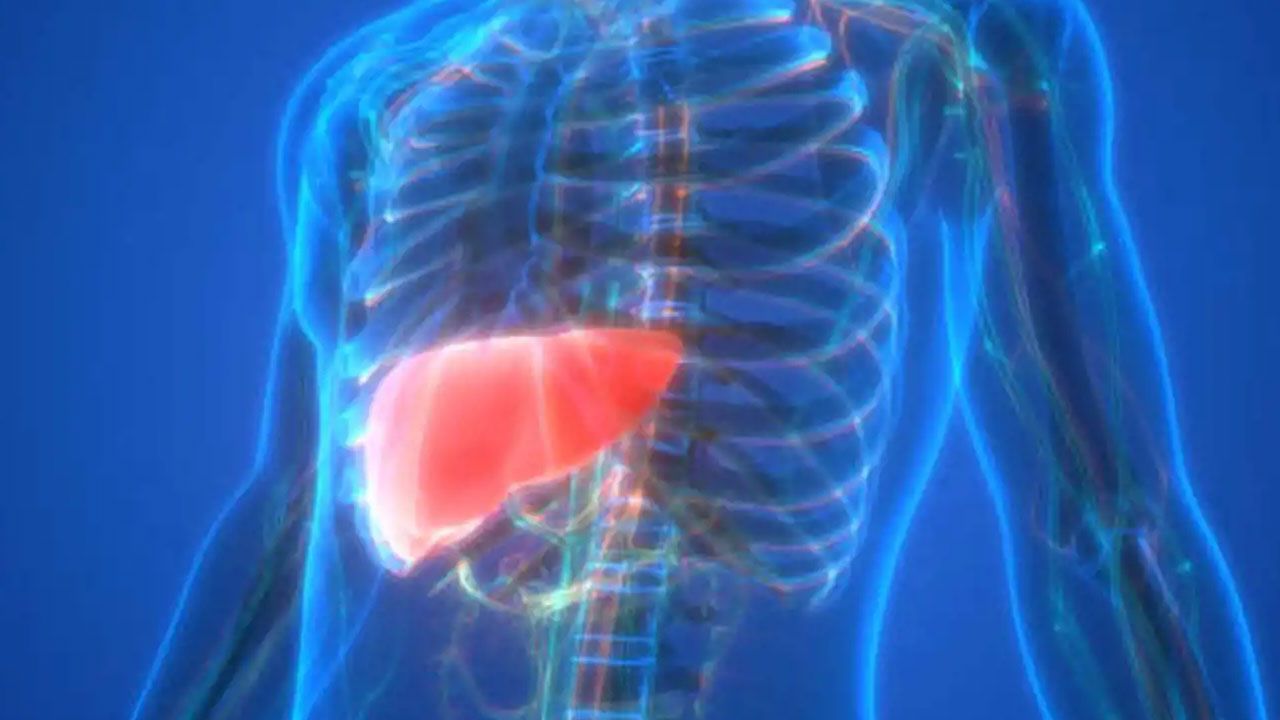 Sindirim sistemiyle sınırlı değil! Karaciğerden kemiğe tüm organları etkiliyor