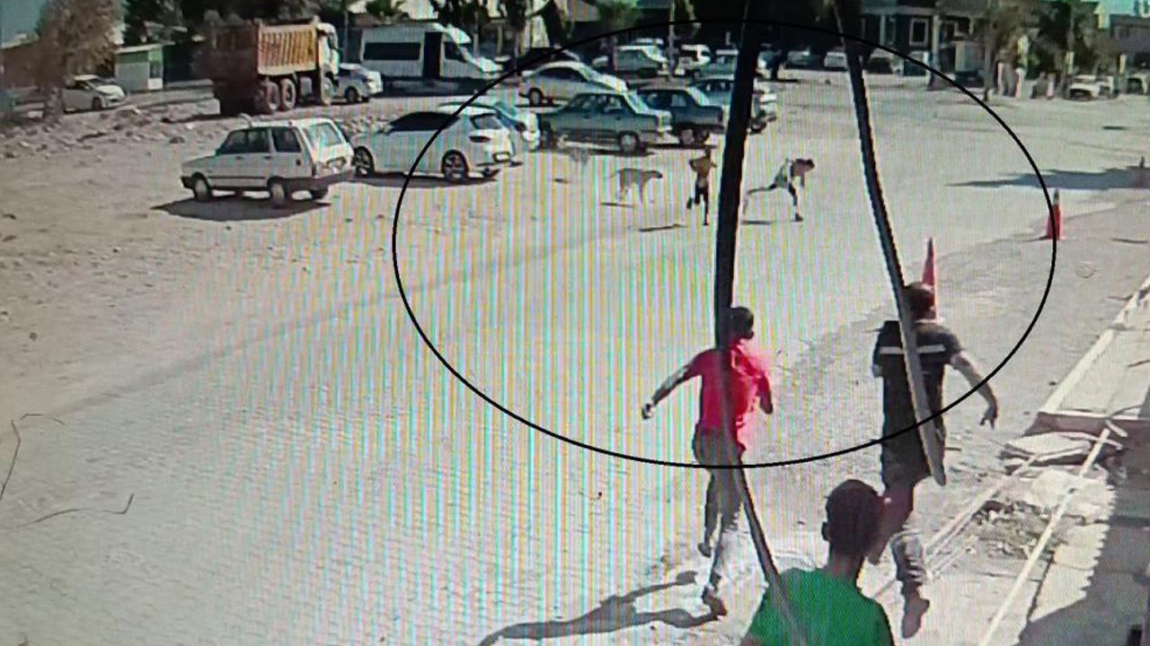 Yürekler ağza geldi! Köpeklerden kaçarken yere düşen çocukları vatandaşlar kurtardı