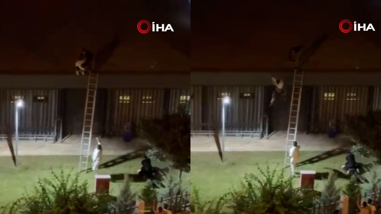 Gençlere insanlık dışı muamele! Konseri kaçak izleyen genci çatıdan aşağı attı