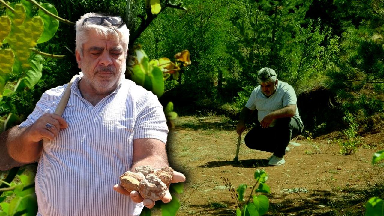 Gramı altınla yarışıyor! Toprak altından çıkarıp ekonomiye kazandırıyor